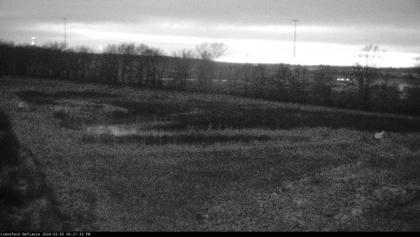 Cell 2_24-02-03_18-21-33-03