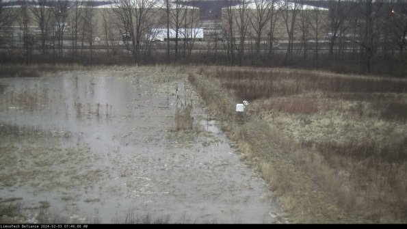 Cell 3 to 4_24-02-03_07-46-00-93