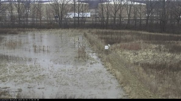 Cell 3 to 4_24-02-03_11-06-54-94