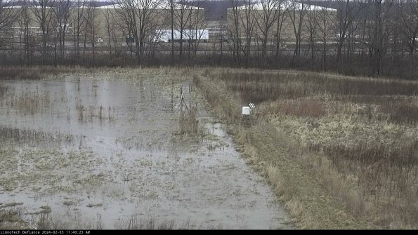 Cell 3 to 4_24-02-03_11-40-23-92