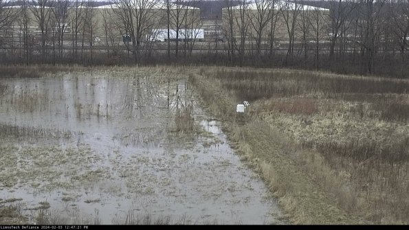 Cell 3 to 4_24-02-03_12-47-21-91