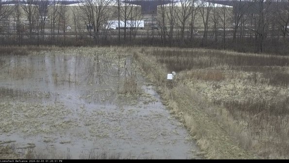 Cell 3 to 4_24-02-03_13-20-51-92