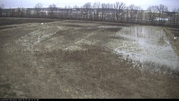 Cell 3_24-02-03_08-19-15-17