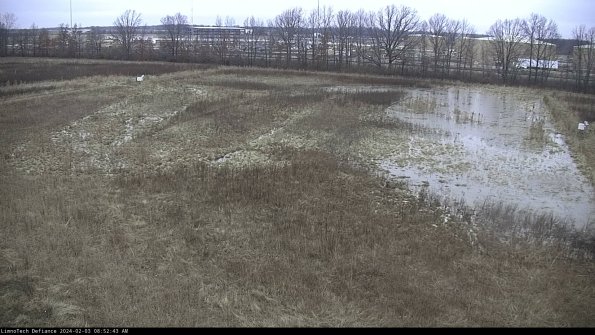 Cell 3_24-02-03_08-52-43-94