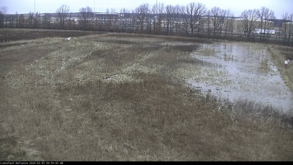 Cell 3_24-02-03_09-59-43-93