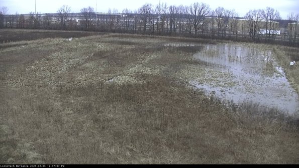 Cell 3_24-02-03_12-47-08-16