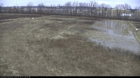 Cell 3_24-02-03_13-20-37-91