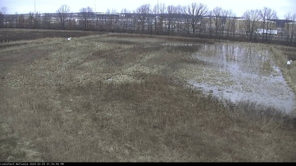 Cell 3_24-02-03_13-54-06-92