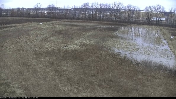 Cell 3_24-02-03_14-27-35-13