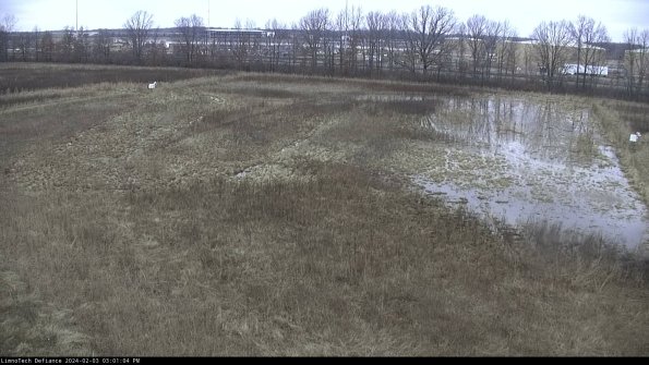 Cell 3_24-02-03_15-01-04-91