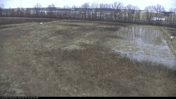 Cell 3_24-02-03_15-34-34-90