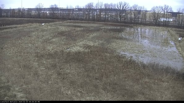 Cell 3_24-02-03_16-08-04-94