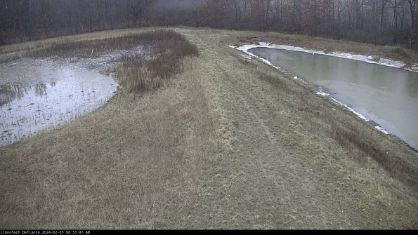 Cell 4 to Basin_24-02-03_08-53-41-93