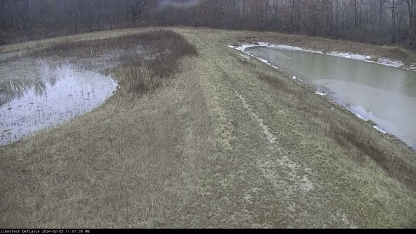 Cell 4 to Basin_24-02-03_11-07-38-95