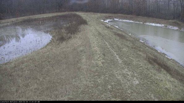 Cell 4 to Basin_24-02-03_11-41-07-93