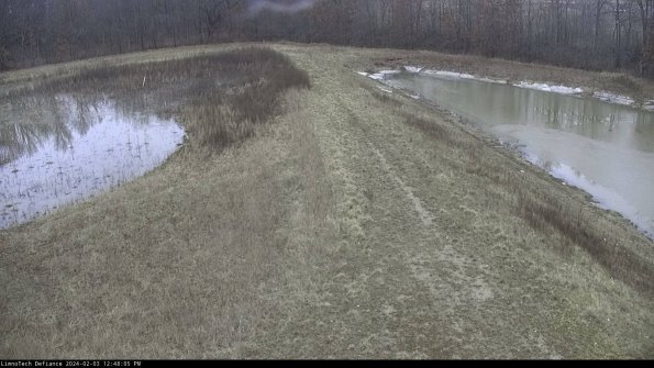 Cell 4 to Basin_24-02-03_12-48-05-92