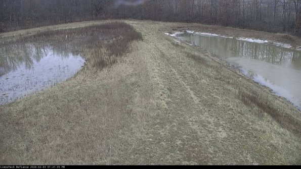 Cell 4 to Basin_24-02-03_13-21-35-93