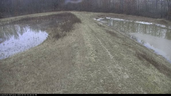 Cell 4 to Basin_24-02-03_14-28-32-96