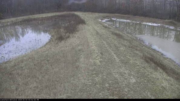 Cell 4 to Basin_24-02-03_15-02-02-94