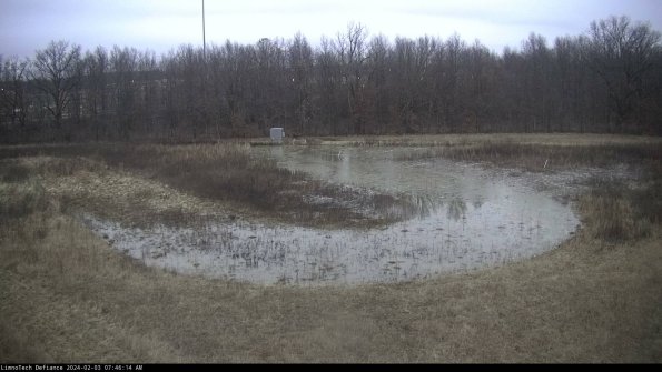 Cell 4_24-02-03_07-46-14-95