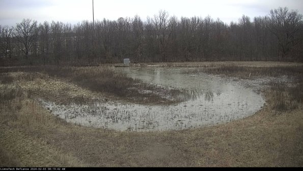 Cell 4_24-02-03_08-19-42-93