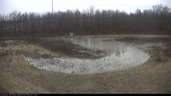 Cell 4_24-02-03_08-53-11-94