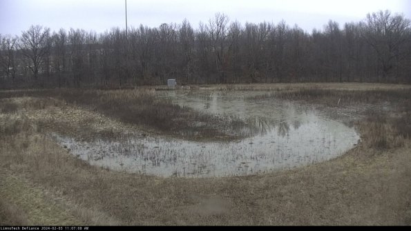 Cell 4_24-02-03_11-07-08-95