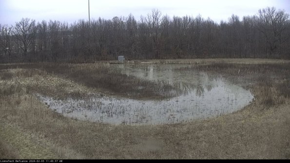 Cell 4_24-02-03_11-40-37-93