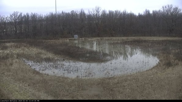 Cell 4_24-02-03_12-47-35-92