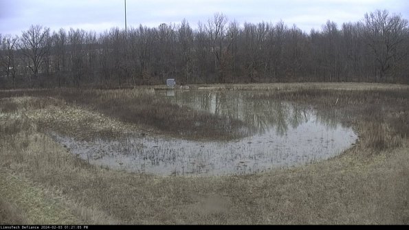 Cell 4_24-02-03_13-21-05-94