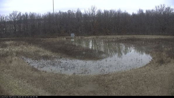 Cell 4_24-02-03_13-54-34-92