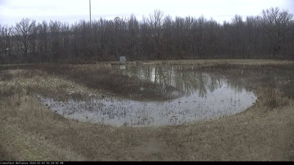 Cell 4_24-02-03_14-28-02-93