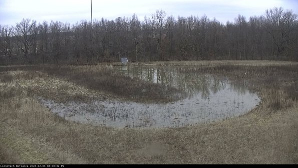 Cell 4_24-02-03_16-08-32-94