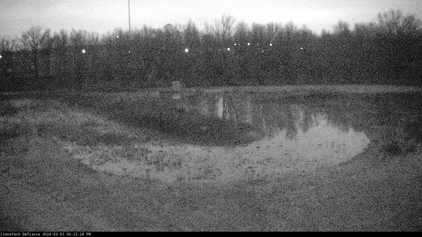 Cell 4_24-02-03_18-22-28-92