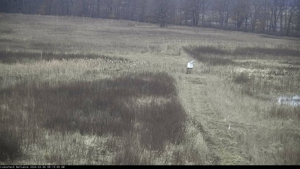 Cell 1 to 2_24-02-06_08-19-00-94