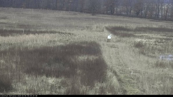 Cell 1 to 2_24-02-06_09-59-29-94