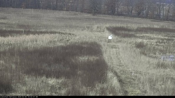 Cell 1 to 2_24-02-06_10-32-57-95