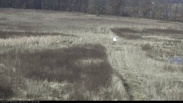 Cell 1 to 2_24-02-06_11-06-26-90