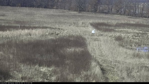 Cell 1 to 2_24-02-06_12-13-25-97