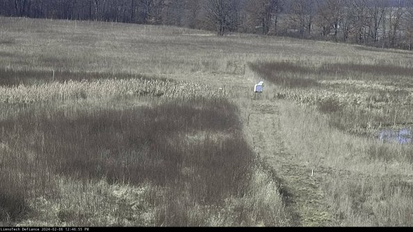 Cell 1 to 2_24-02-06_12-46-55-95