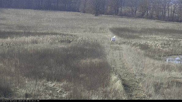 Cell 1 to 2_24-02-06_15-34-21-94