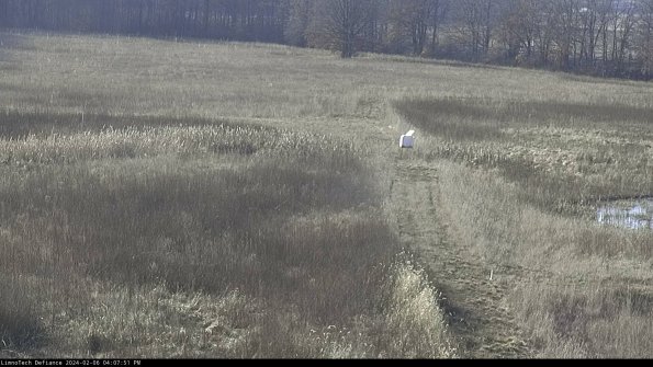 Cell 1 to 2_24-02-06_16-07-51-96