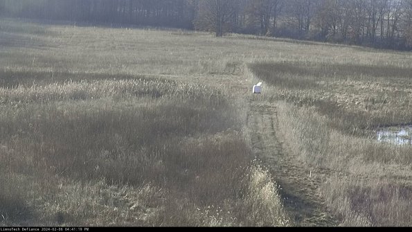 Cell 1 to 2_24-02-06_16-41-19-94