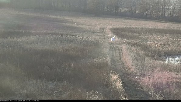 Cell 1 to 2_24-02-06_17-14-49-96