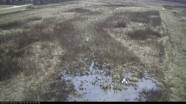 Cell 1_24-02-06_08-18-46-92