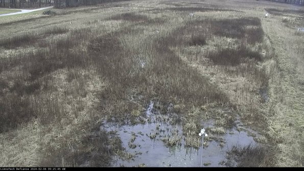 Cell 1_24-02-06_09-25-45-95