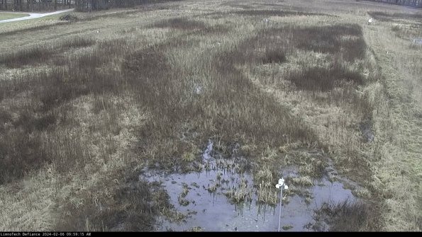 Cell 1_24-02-06_09-59-15-93