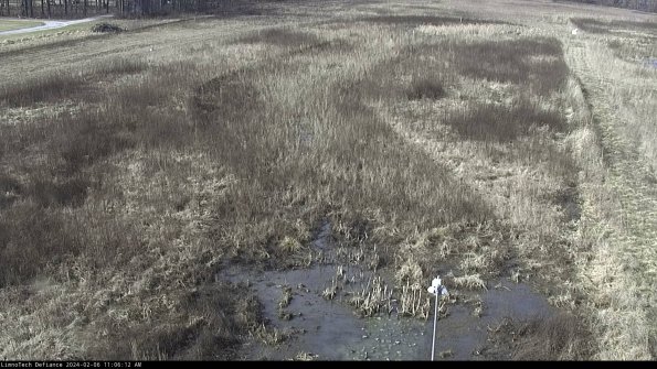 Cell 1_24-02-06_11-06-12-92