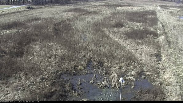 Cell 1_24-02-06_11-39-42-94