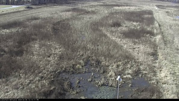 Cell 1_24-02-06_12-13-11-95